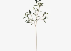 Abrell Vase & Elena Laurel Spray Branches
