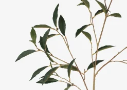 Abrell Vase & Elena Laurel Spray Branches