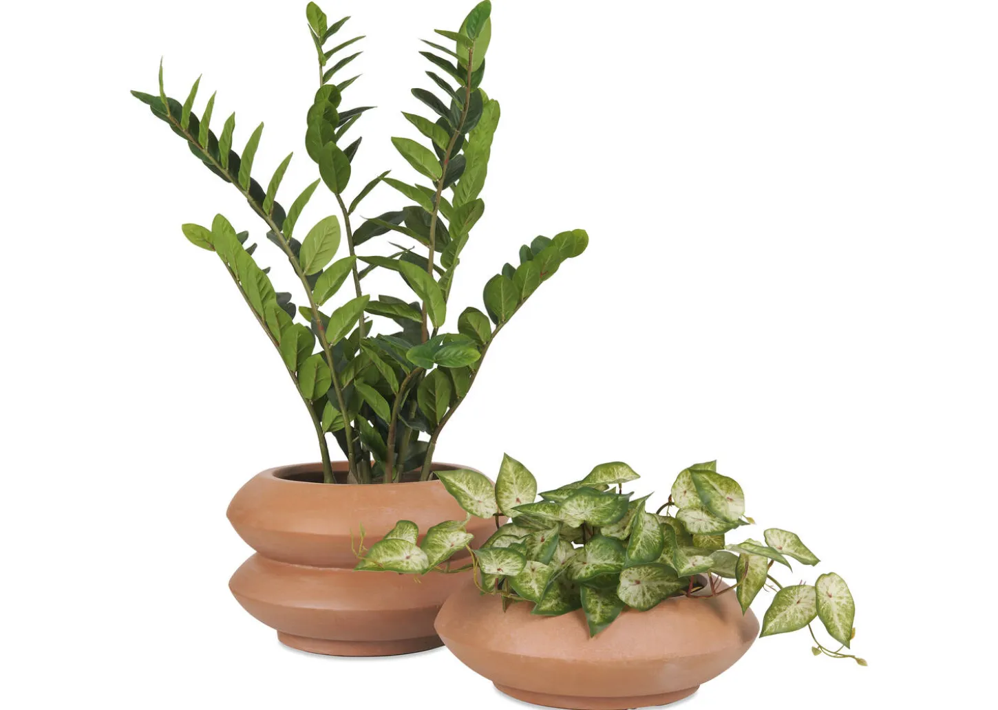 Adela Planter