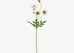 Amity Poppy Stem