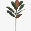 Aster Magnolia Branch Green/Brown