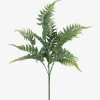 Australia Fern Branch