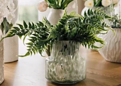 Australia Fern Branch