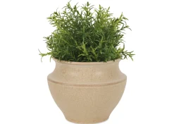 Barber Planter