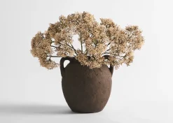 Beare Elderberry Stem