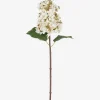 Beth Cone Hydrangea Stem White