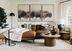 Bison Wall Art Set