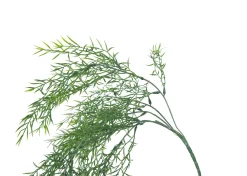 Bray Snapdragon Branch