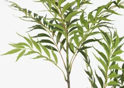 Bryce Bamboo Palm Branch