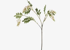 Byer Wisteria Branch
