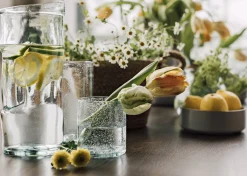 Camari Old Fashioned Glass Organic