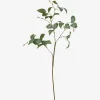 Camellia Leaf Branch