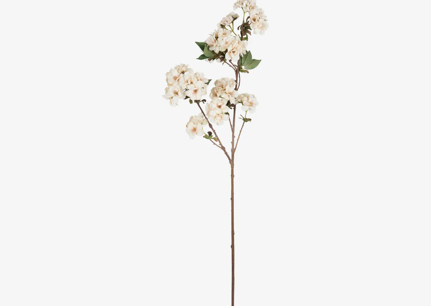 Canyon Vase & Kya Cherry Blossom Branches