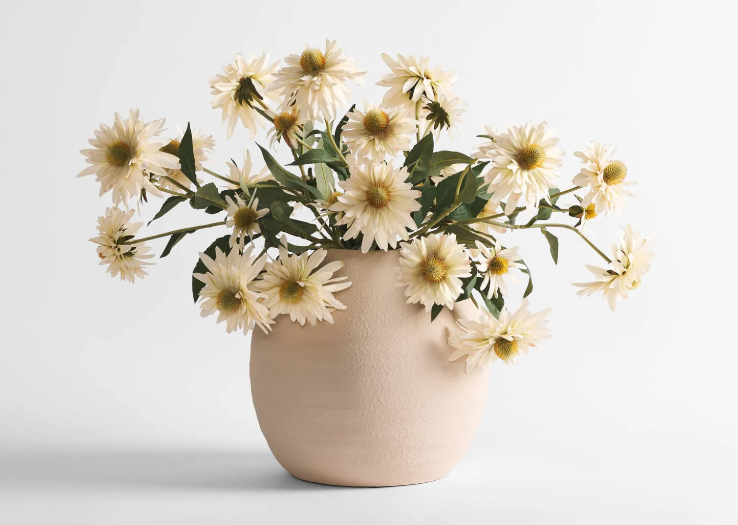 Cate Echinacea Stem Ivory