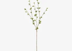 Creek Spring Leaf Branch