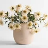 Daleyza Vase & Cate Echinacea Stems