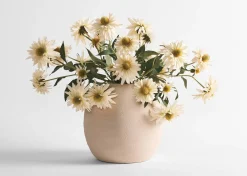 Daleyza Vase & Cate Echinacea Stems