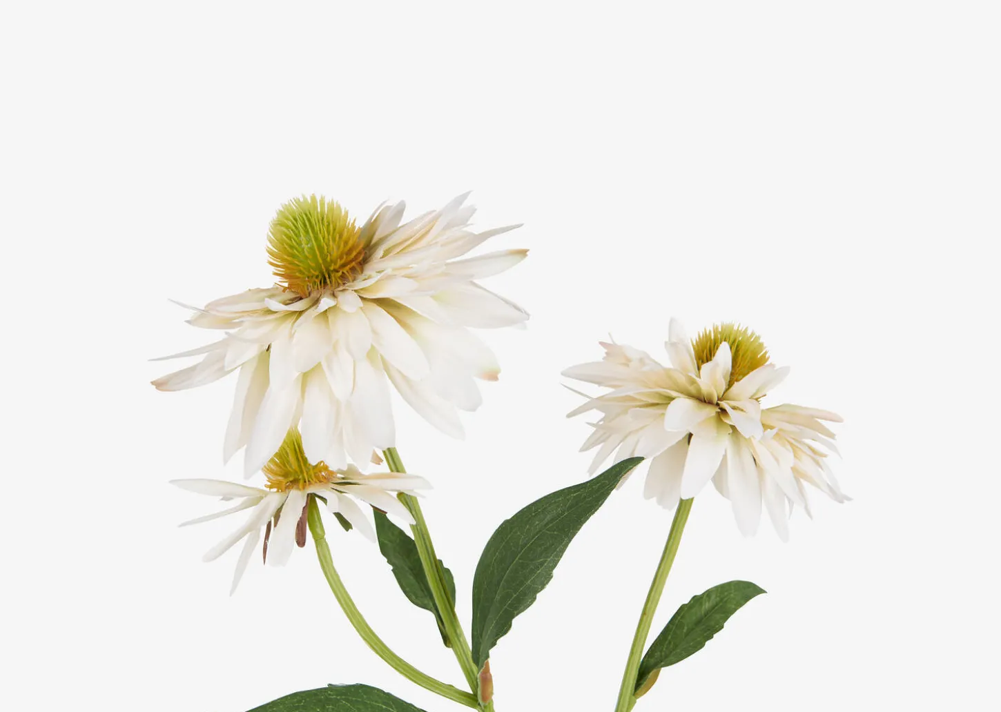 Daleyza Vase & Cate Echinacea Stems