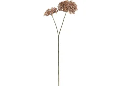 Dunne Allium Branch