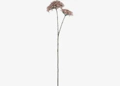 Dunne Allium Branch