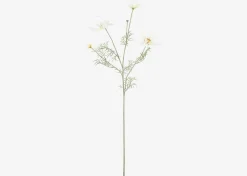Elana Anemone Stem