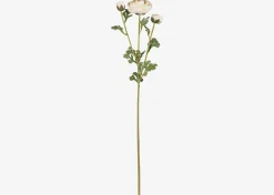Helene Ranunculus Branch Ivory