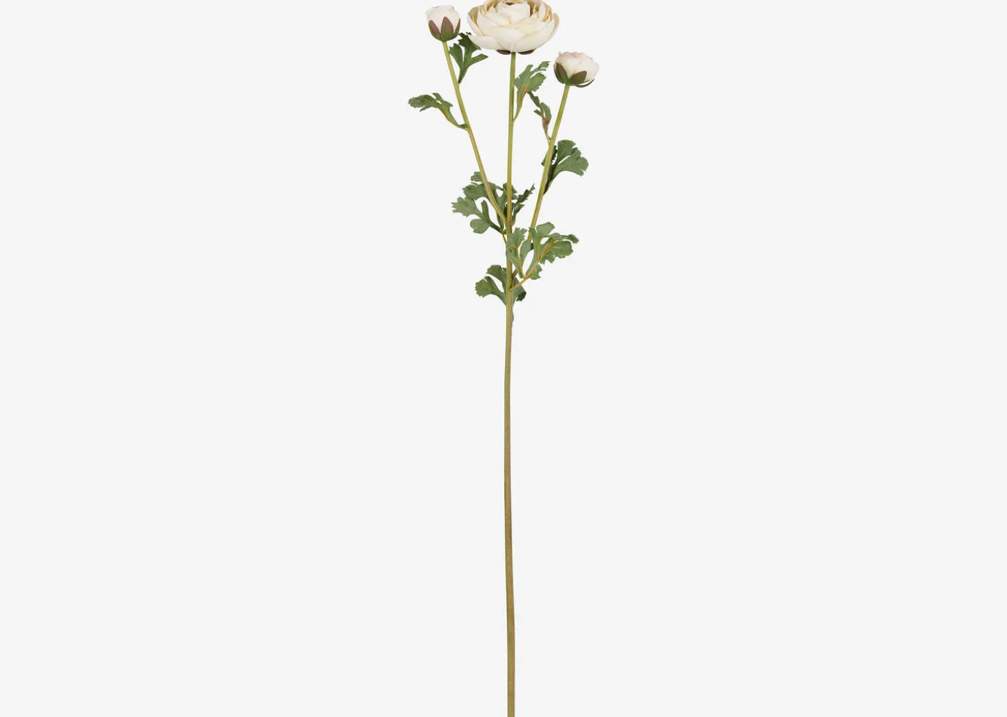 Helene Ranunculus Branch Ivory