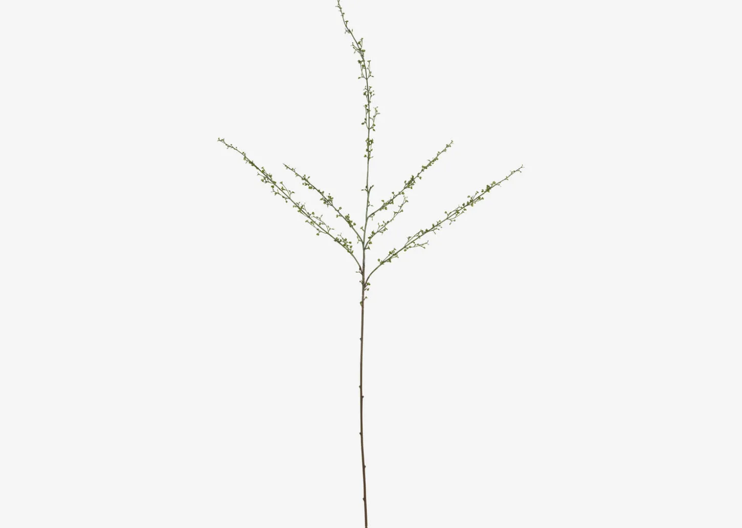 Hopper Mini Spring Branch
