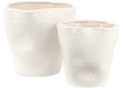 Hugo Planter
