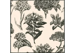 Hydrangea Napkin Set of 6 Natural/Black