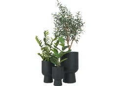 Ingrid Planter