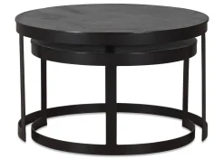 Irwin Recycled Metal Nesting Coffee Table Set