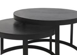 Irwin Recycled Metal Nesting Coffee Table Set