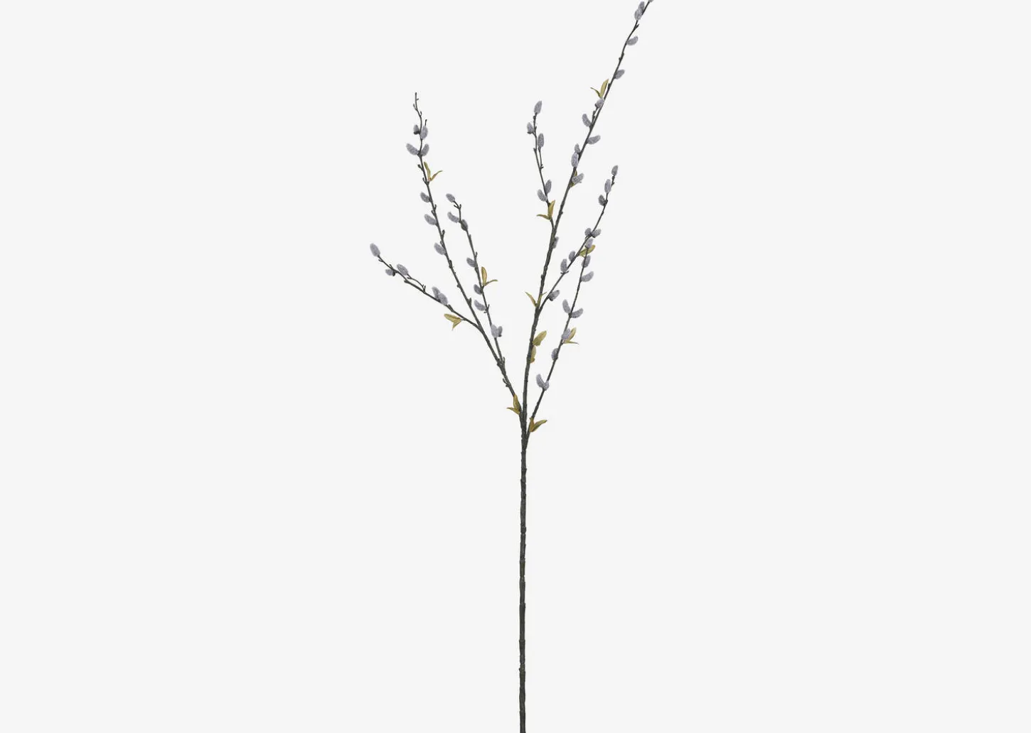 Jessa Pussy Willow Branch