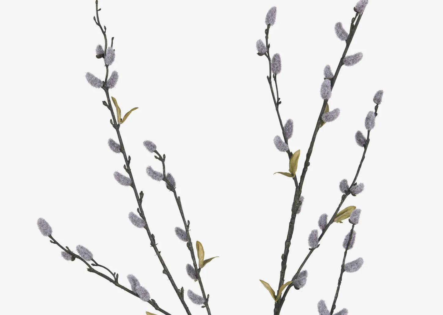 Jessa Pussy Willow Branch