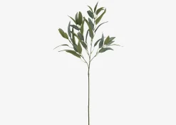 Letty Salix Willow Branch