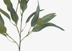 Letty Salix Willow Branch