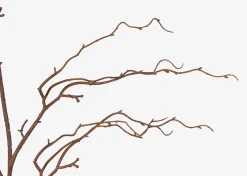 Liliana Willow Branch Stem