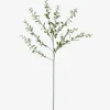 Linnea Leaf Branch
