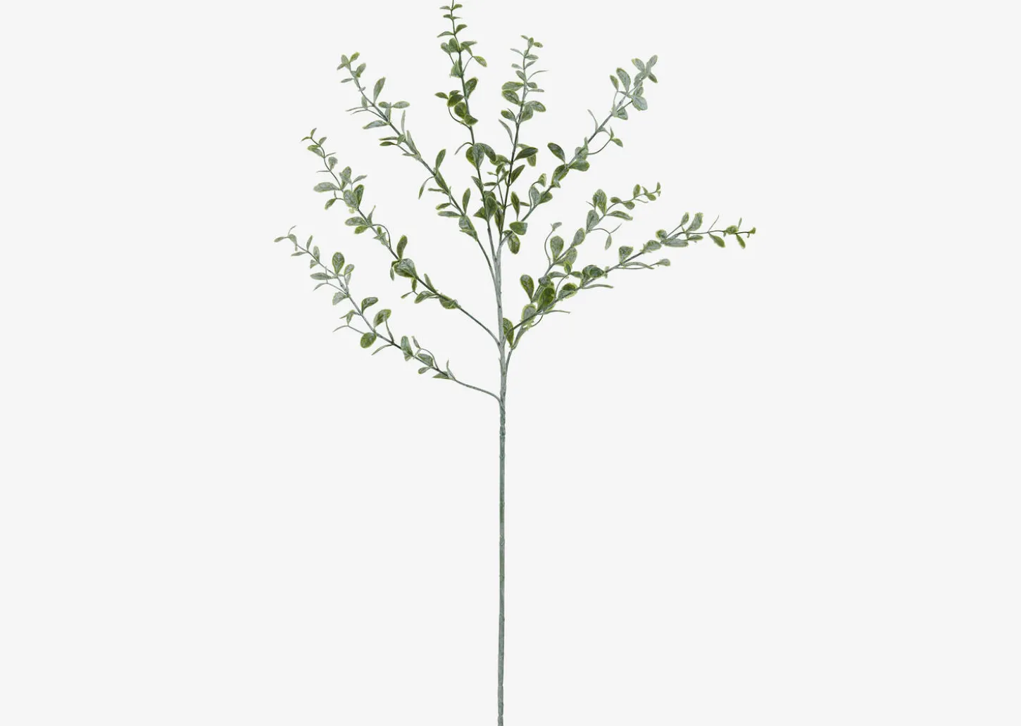Linnea Leaf Branch