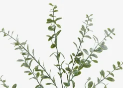 Linnea Leaf Branch