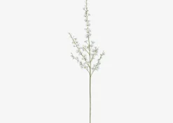 Liza Dancing Orchid Branch