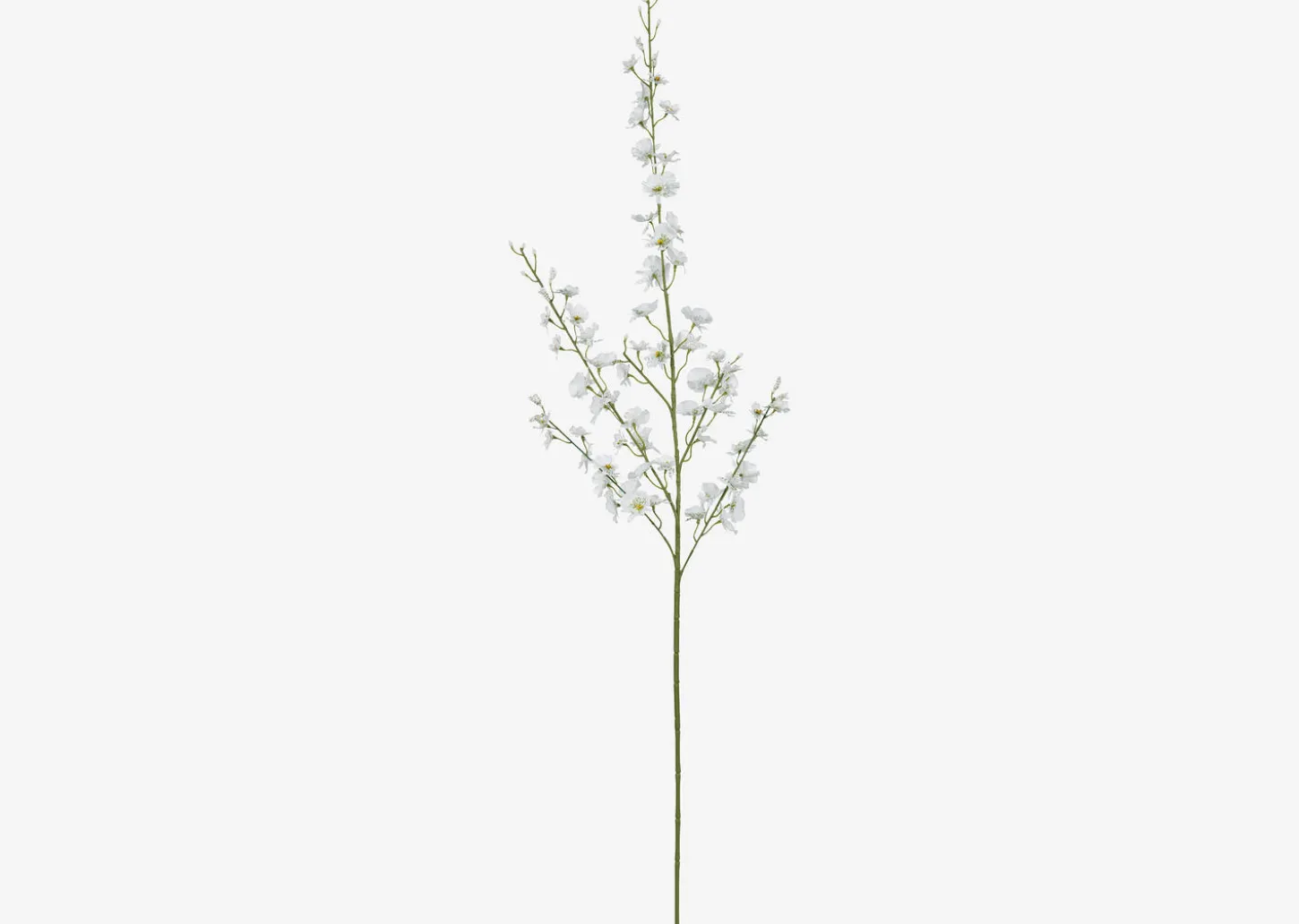 Liza Dancing Orchid Branch