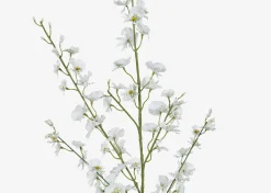 Liza Dancing Orchid Branch