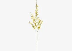 Liza Dancing Orchid Branch