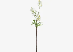 Mandi Floral Stem