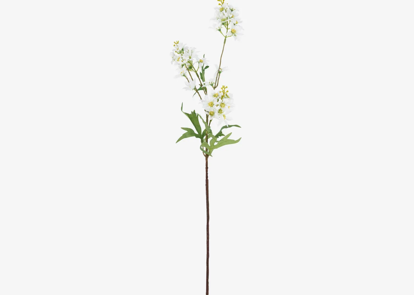 Mandi Floral Stem