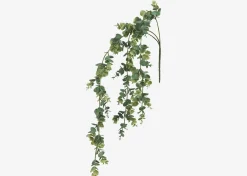 Marla Hanging Eucalyptus