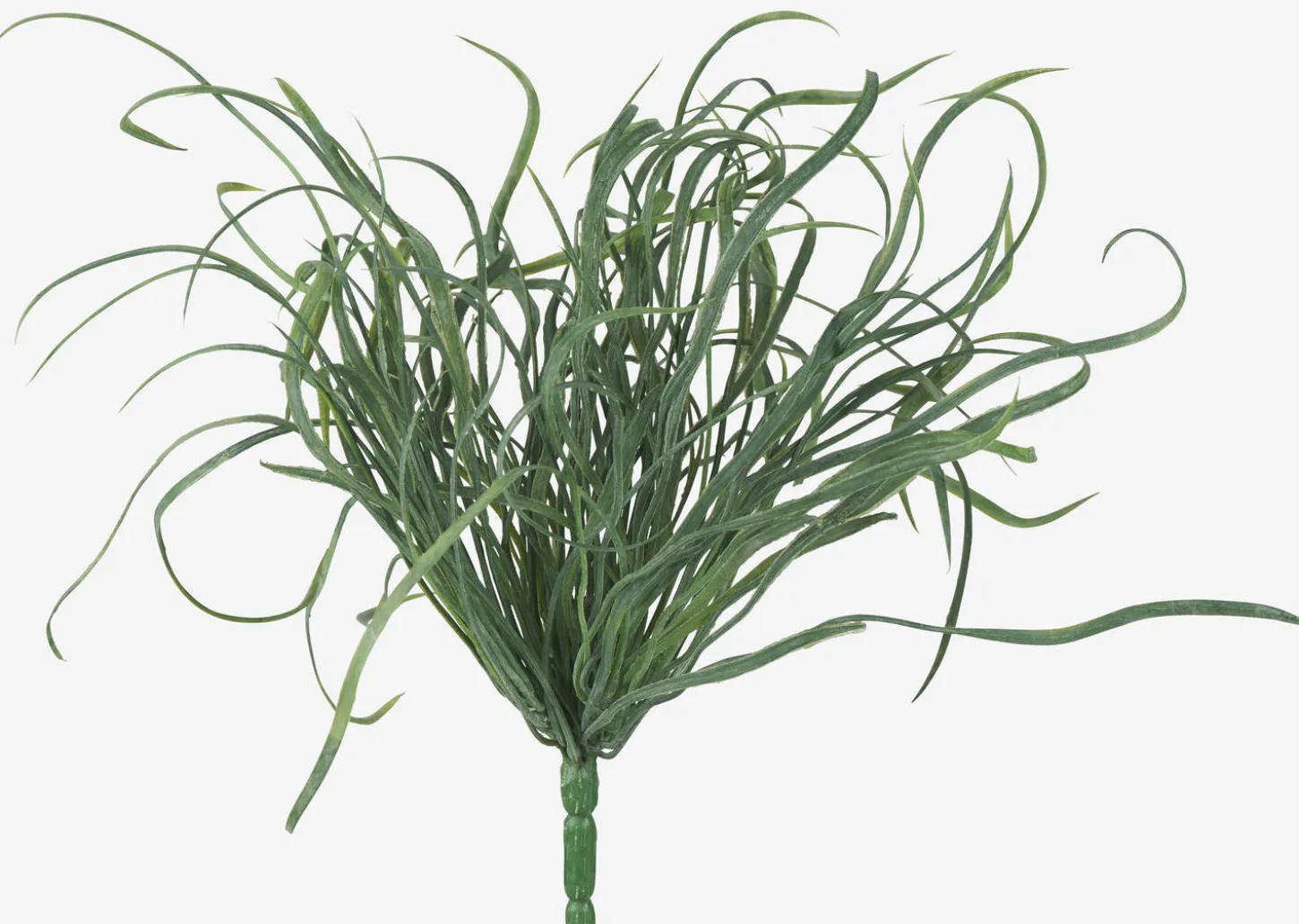Maya Sea Grass Branch
