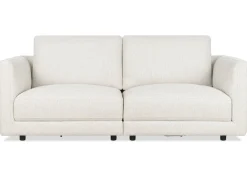 Mila Modular 2-Piece Loveseat